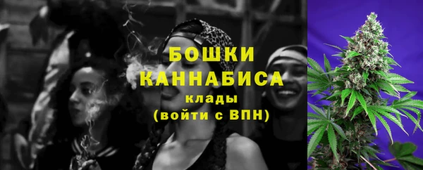 мдпв Кукмор