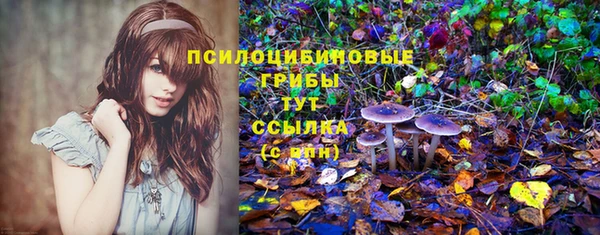 альфа пвп Липки
